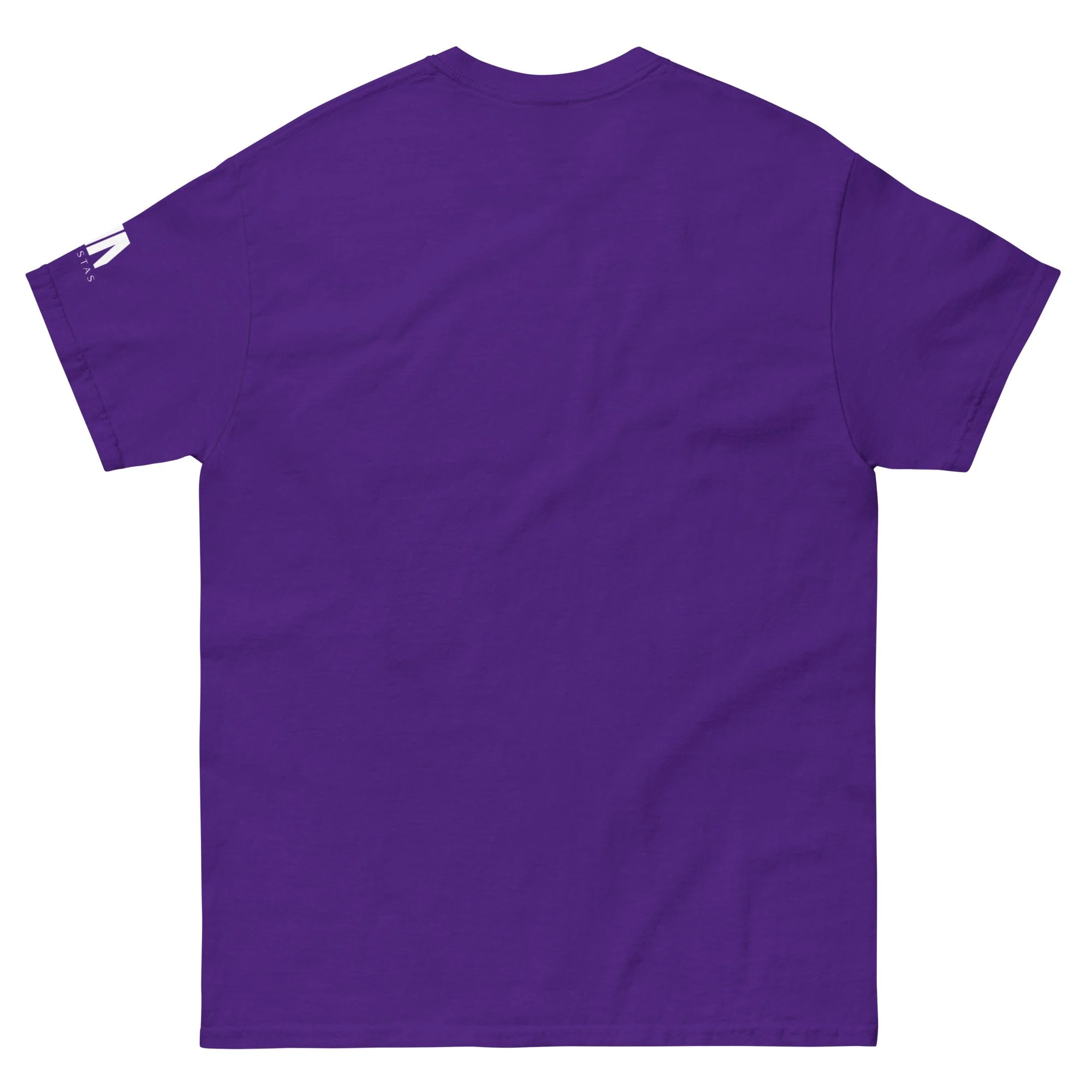 unisex-classic-tee-purple-back-6945c93c31435.jpg