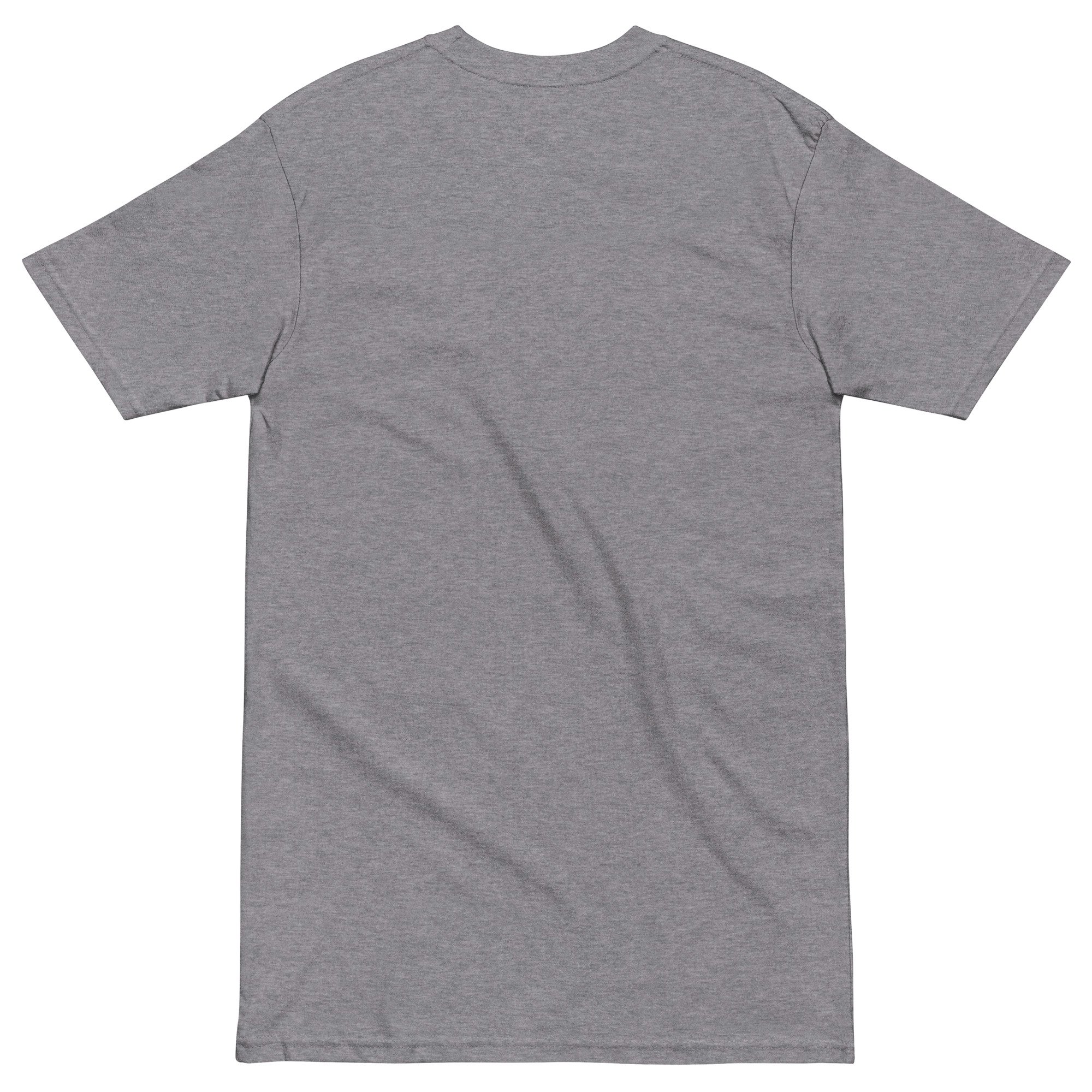 mens-premium-heavyweight-tee-carbon-grey-back-69470fa04a9c0.jpg
