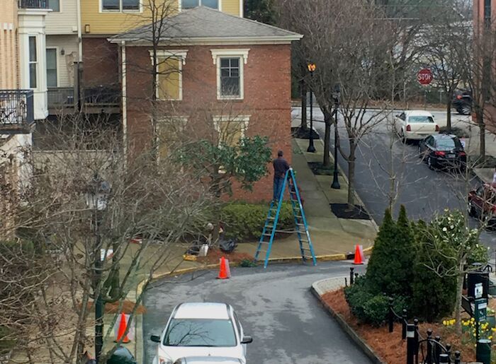 THE FIRST SET DECORATION BEGINS—ADDING LEAVES TO THE TREES WITH TWIST TIES.