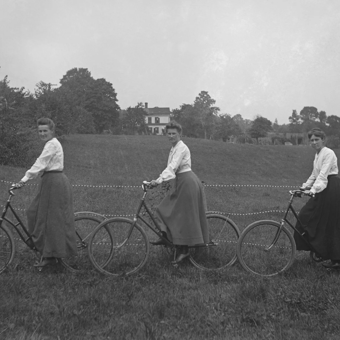 Riding Through Camas, Plums, Apples [From BA 42-400]