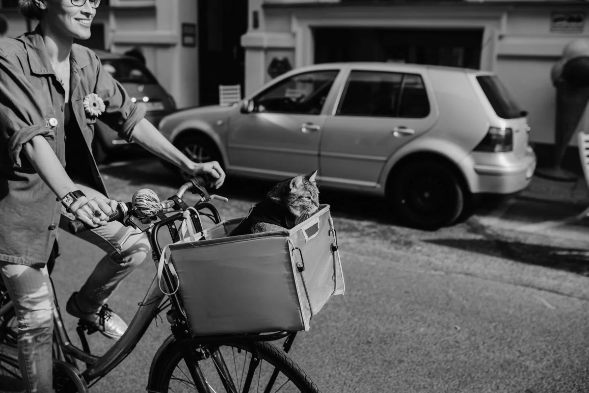 Photo by Juliana Socher