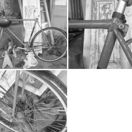 Hipster-Ass Bike For Hipsters [From 43-300]