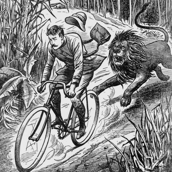 In 20 Words, What Would You Do With This Bicycle? [From BA 42-300]