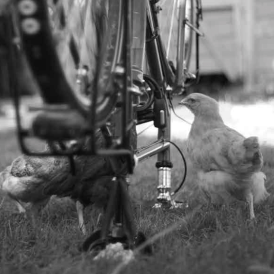 Review: Bikeloc [from BA 43-100]