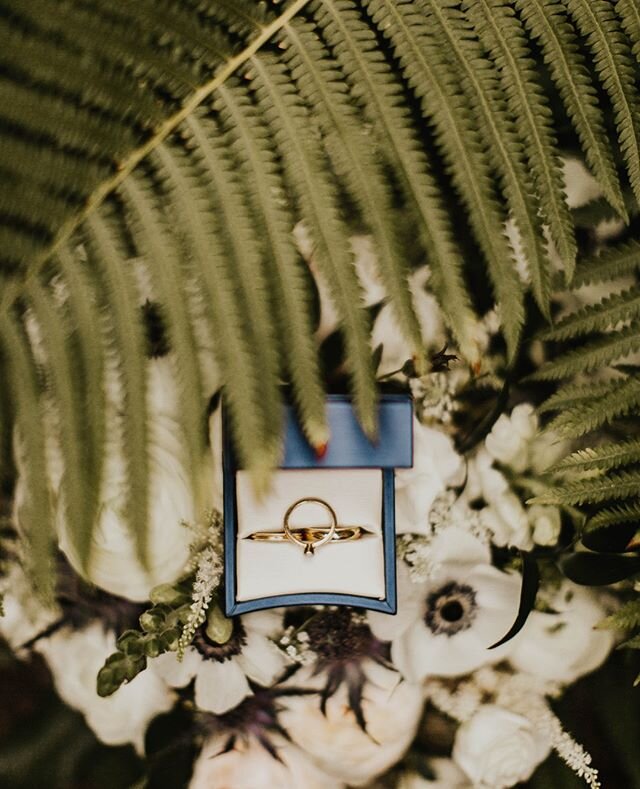 🌿💍⁠
.⁠
.⁠
.⁠
#loveandwildhearts #radlovestories #justalittleloveinspo #belovedstories #firstandlasts #lovellope #photobugcommunity #elopementphotography #elopementcollective #authenticlovemag #pnwedding #muchloveig #vaphotographer #weddingphotograp