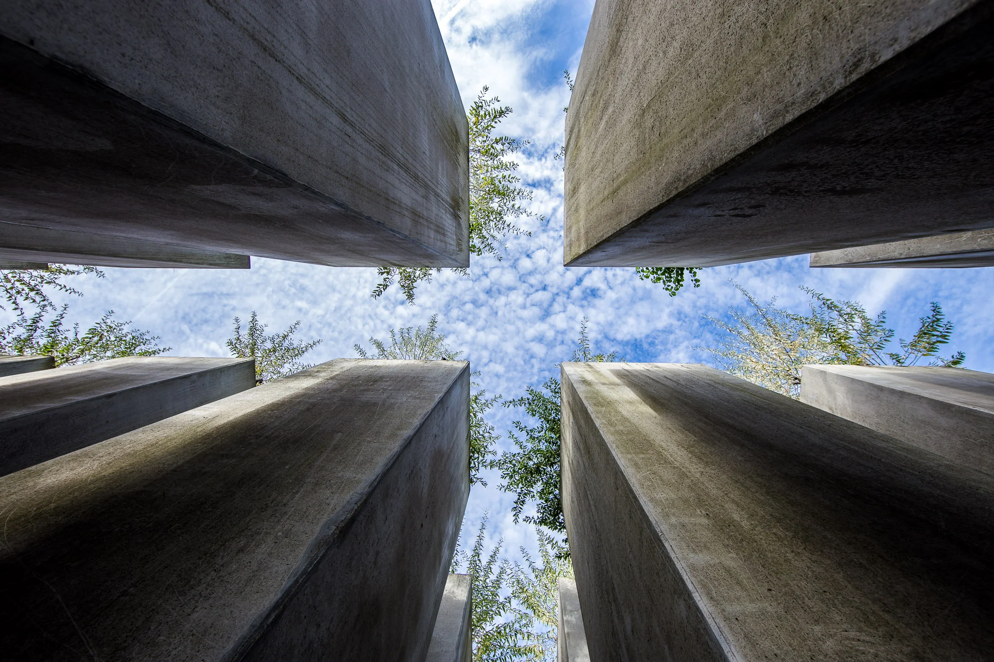 Vertical Escape