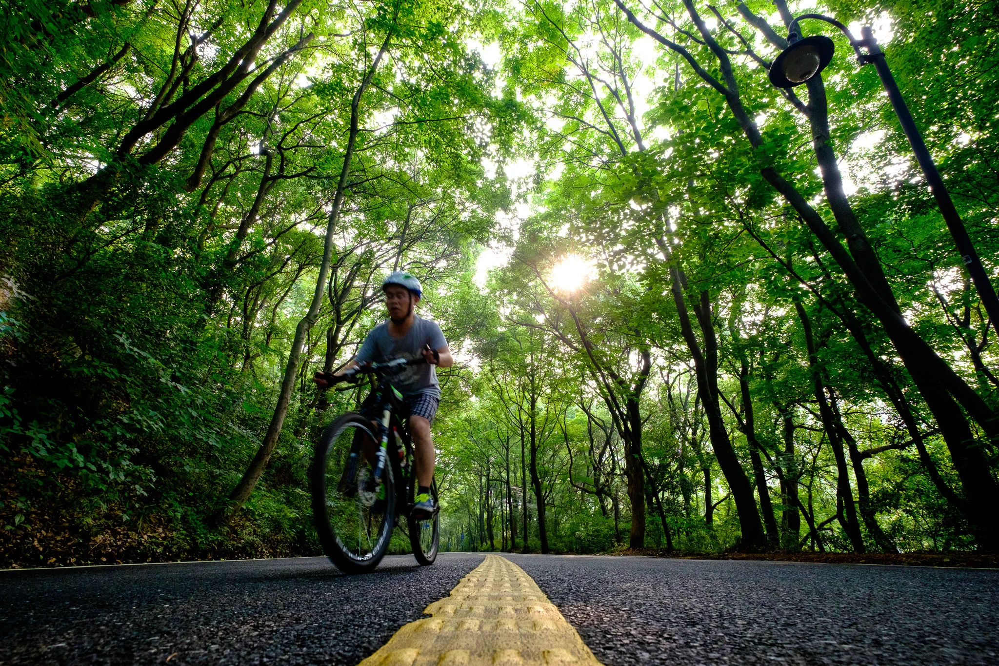 Forset Cycling