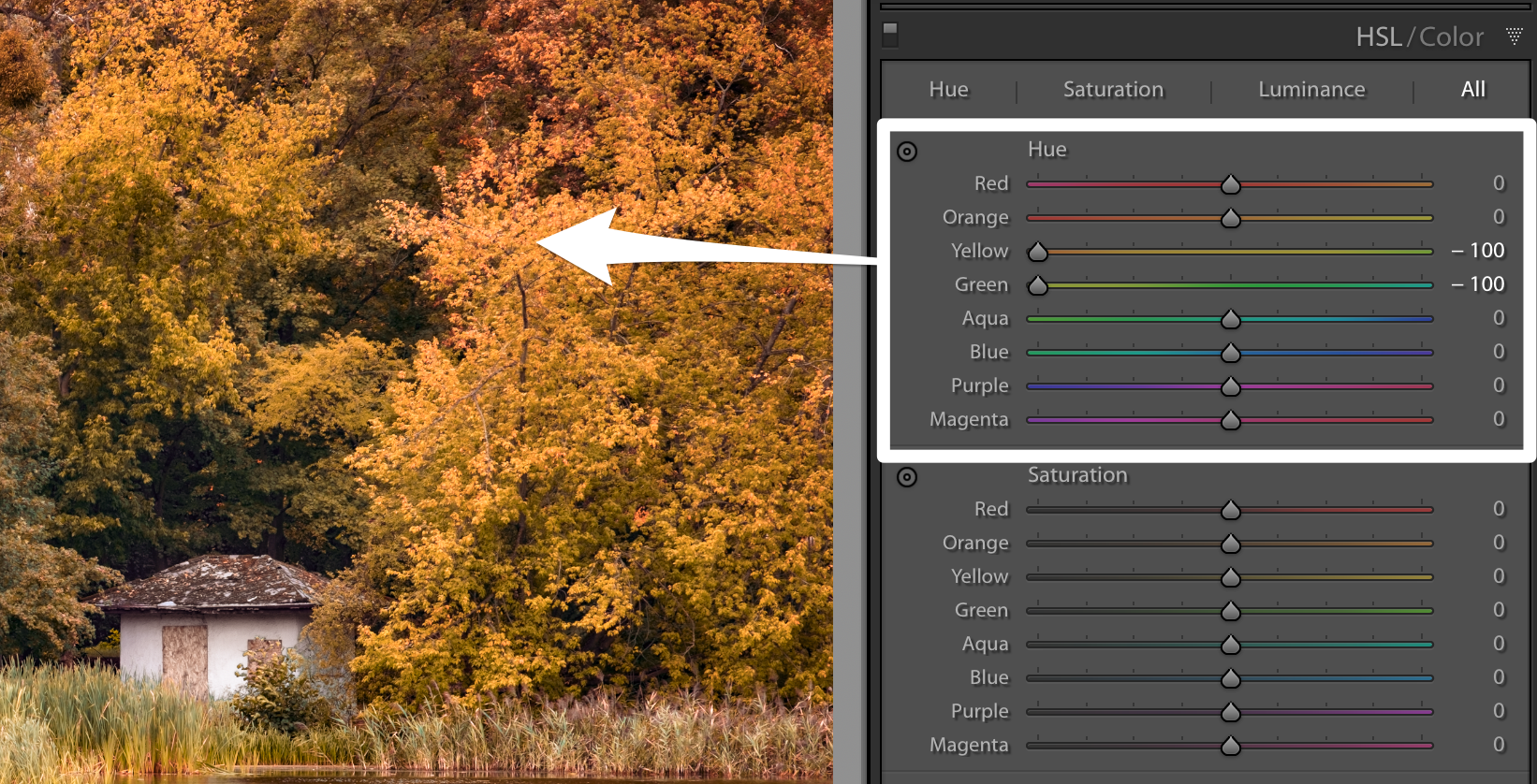 2017-2018_lrcat_-_Adobe_Photoshop_Lightroom_Classic_-_Develop.png