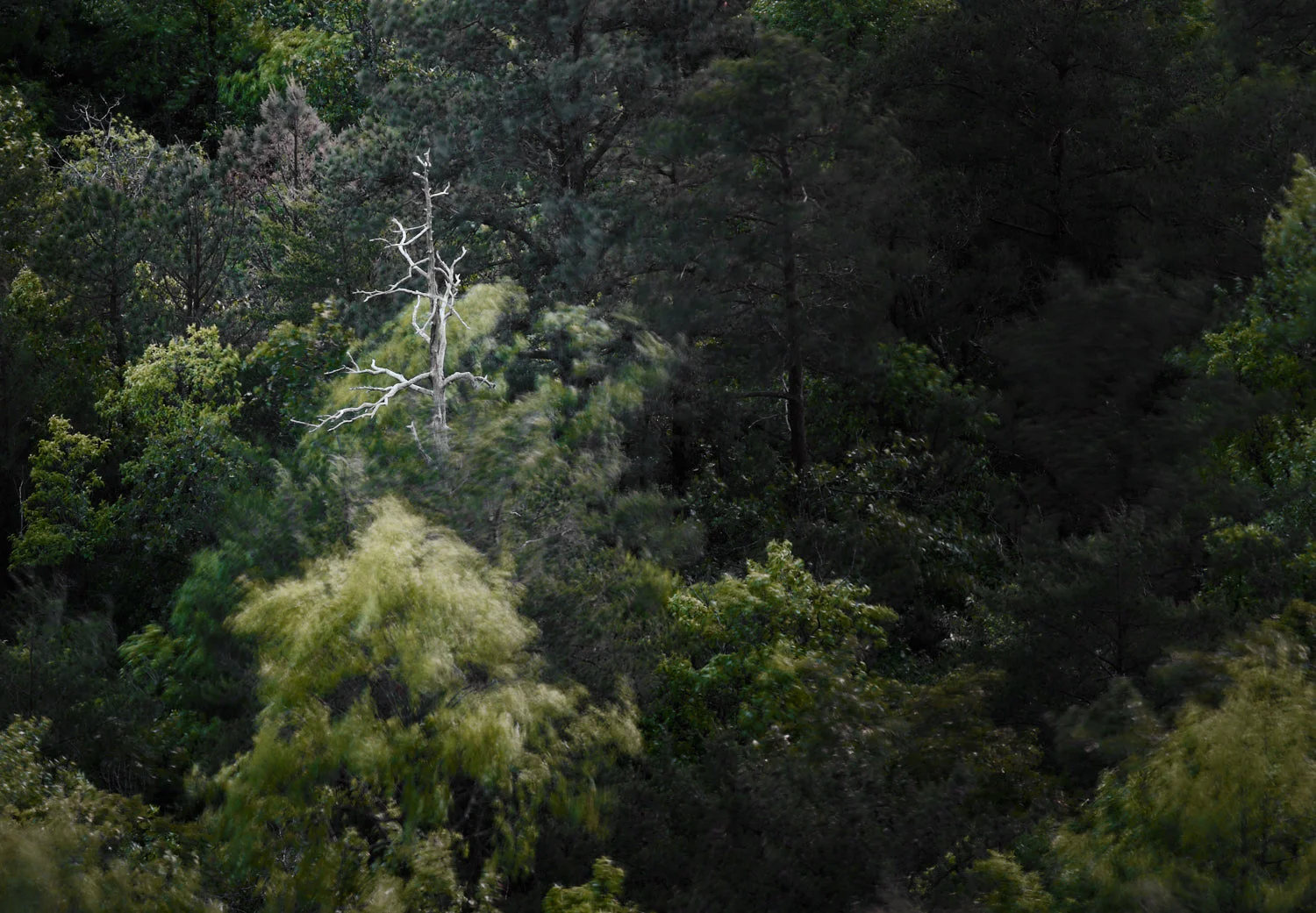Hanging Rock