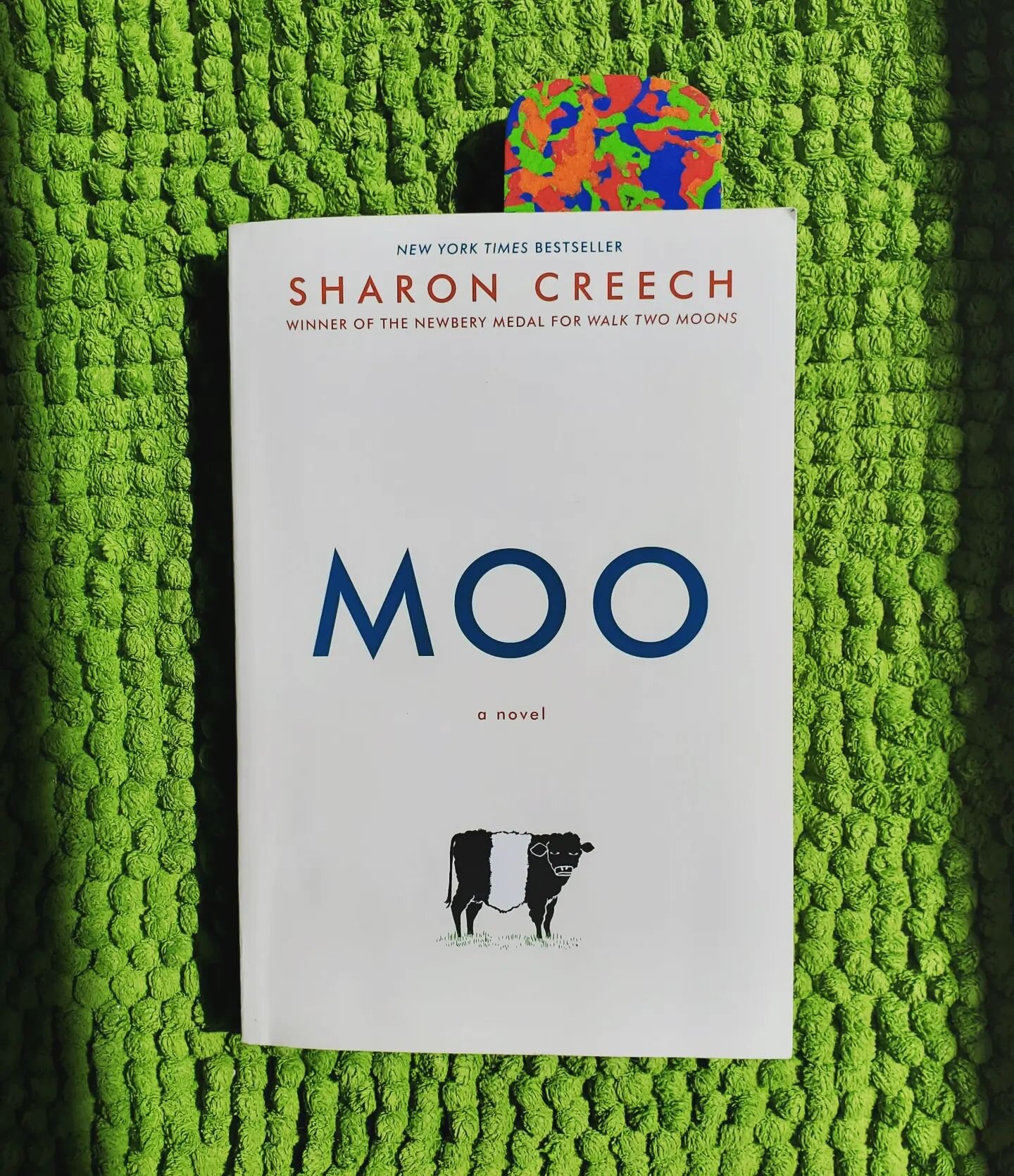 Do your kids like to read every single book written by an author? 📚📚📚
Mr 9 sure does...and well, let's not talk about his Mom going on a Nantucket romance novel binge reading spree this summer (hello, Elin Hilderbrand) 🤷🏻&zwj;♀️

So after finish