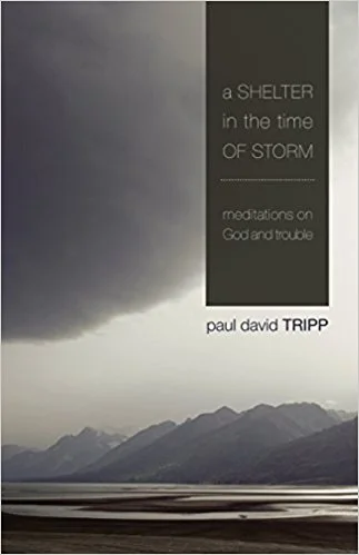 Shelter in the Time of Storm.jpg
