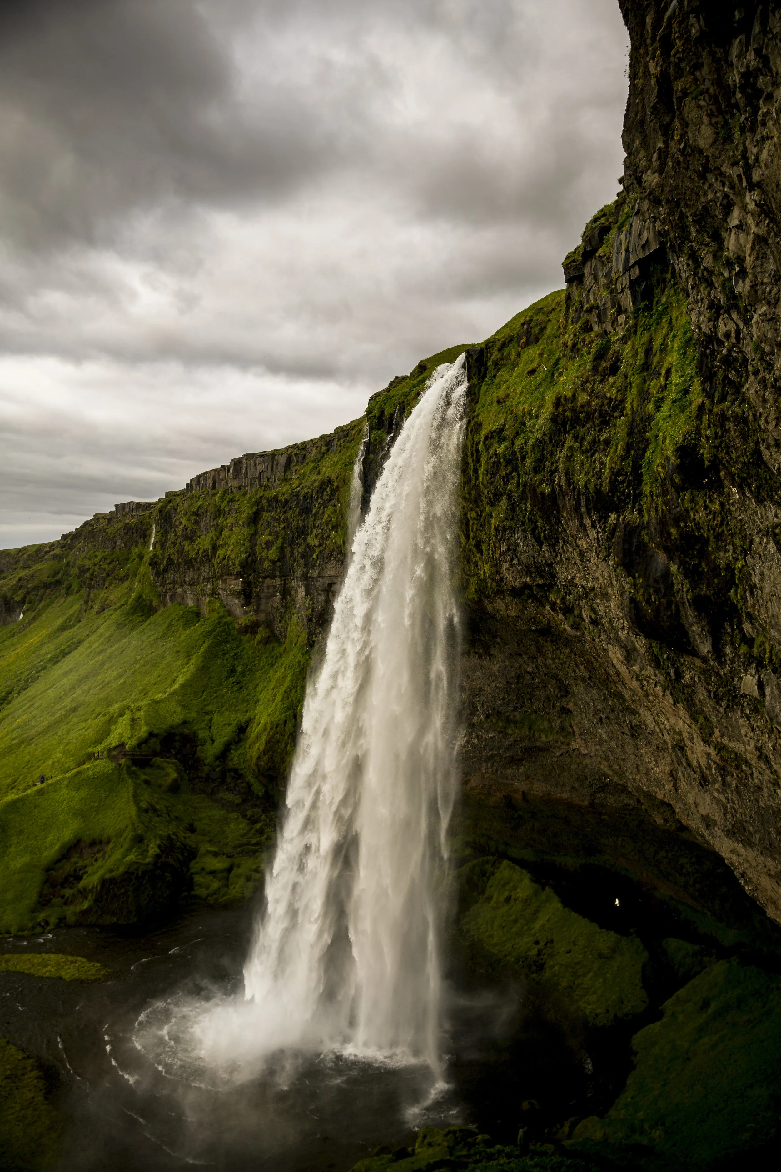 IMG_4849-Edit, copy copy.jpg
