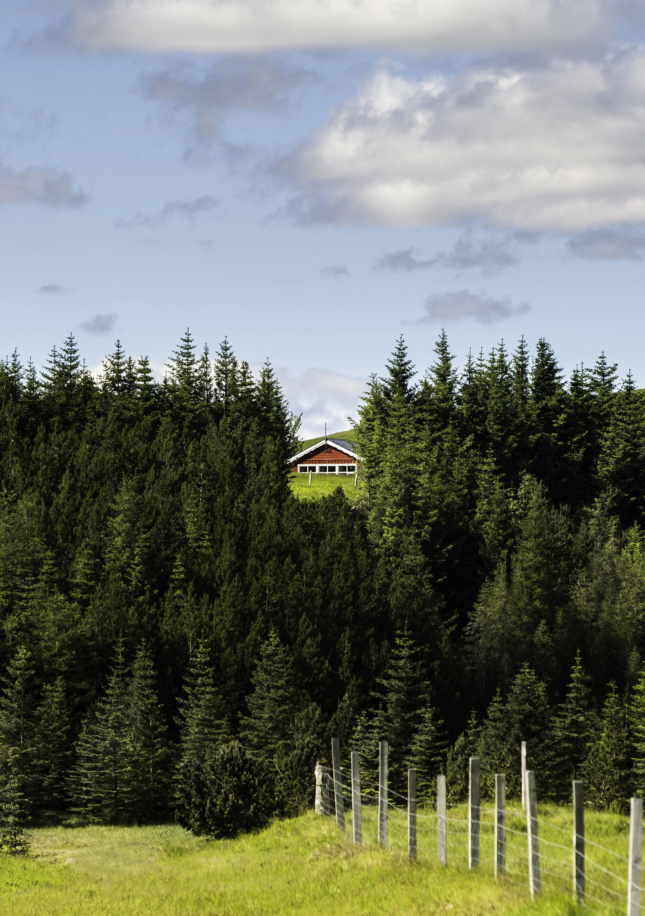 IMG_5847-Edit.jpg