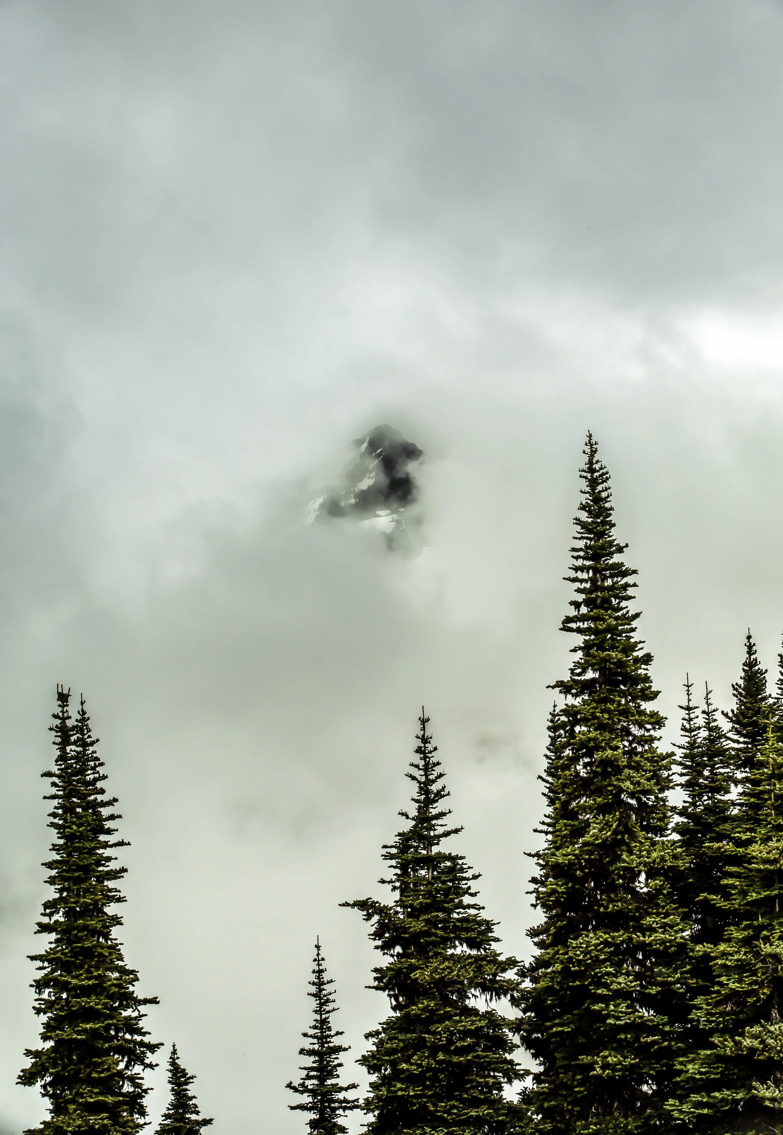 Hurricane Ridge, Washington State, 2016.jpg