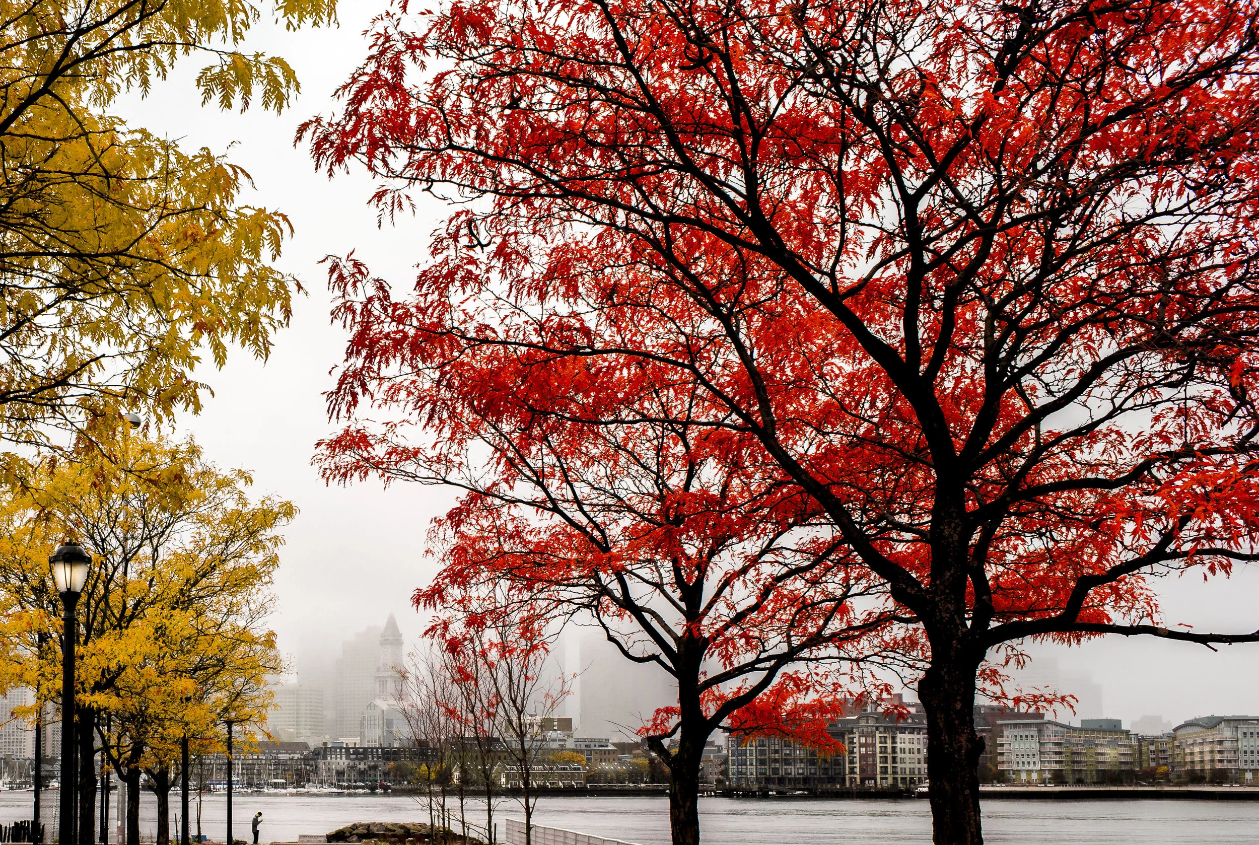 East Boston at Fall, 2015.jpg