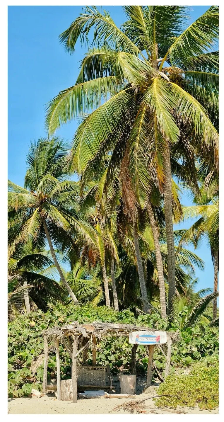 tree.jpg
