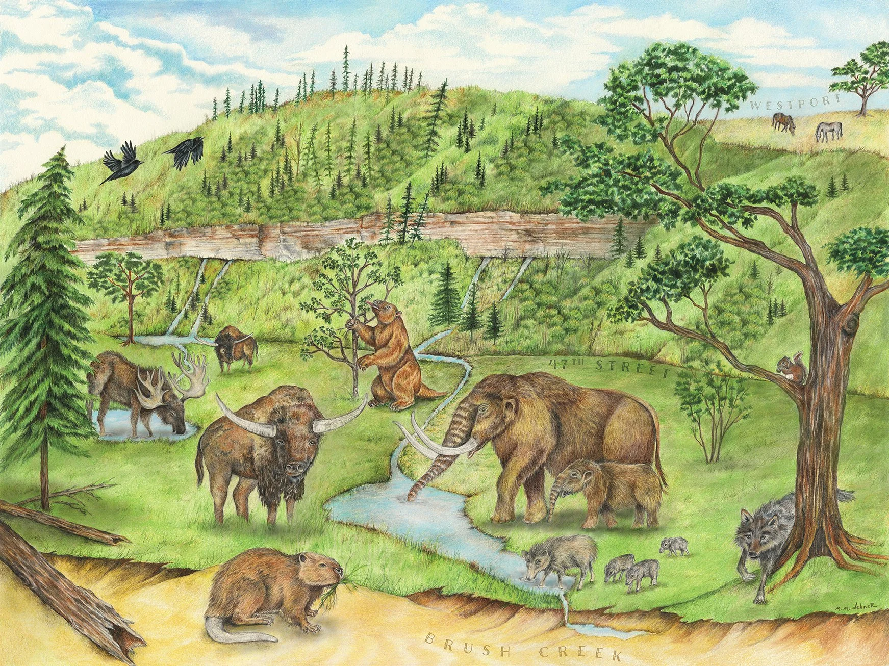 The Giant Ice Age Mammals That Roamed Throughout The Greater KC Area and Beyond