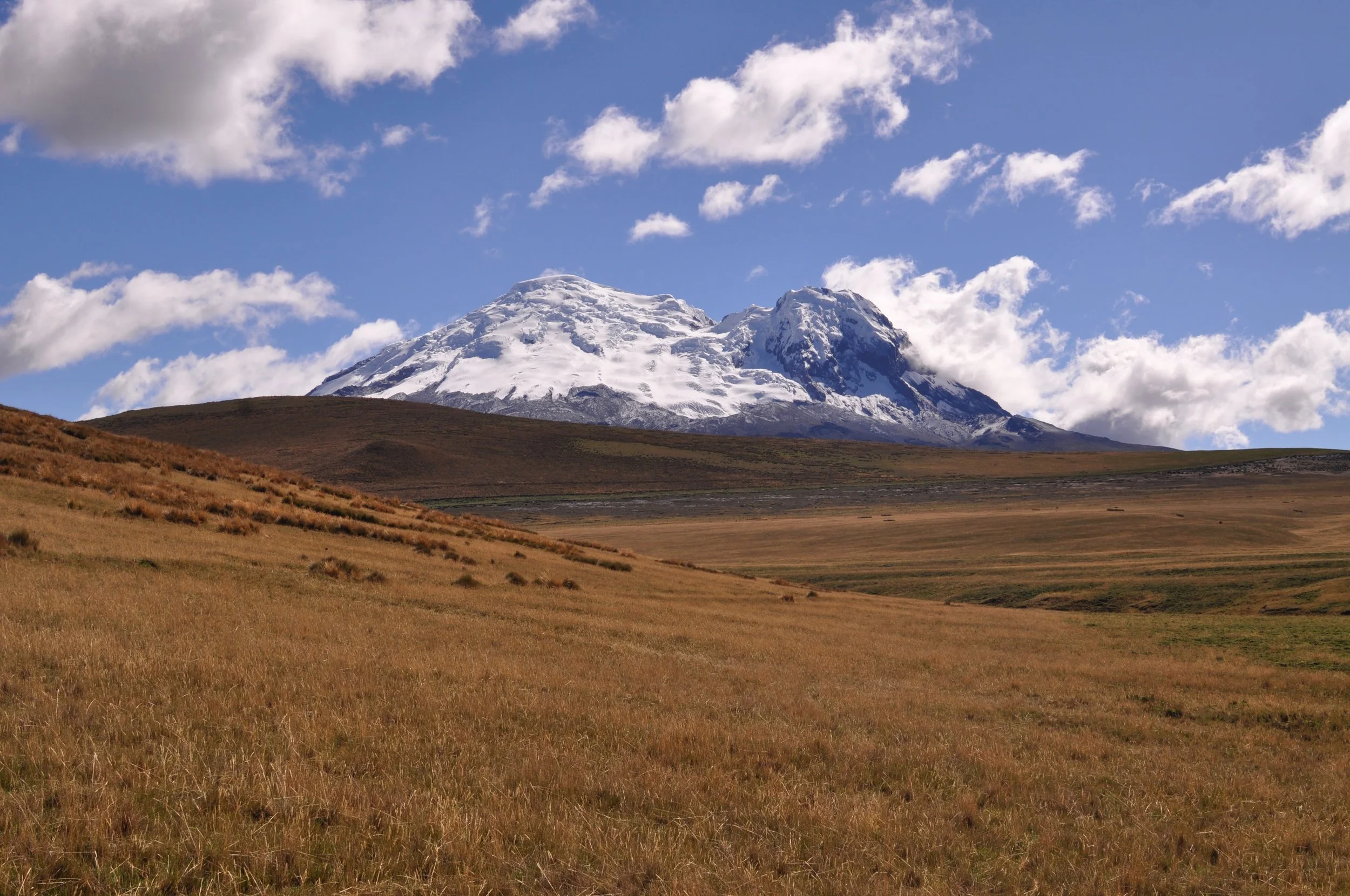 A New Framework for Conservation Philanthropy