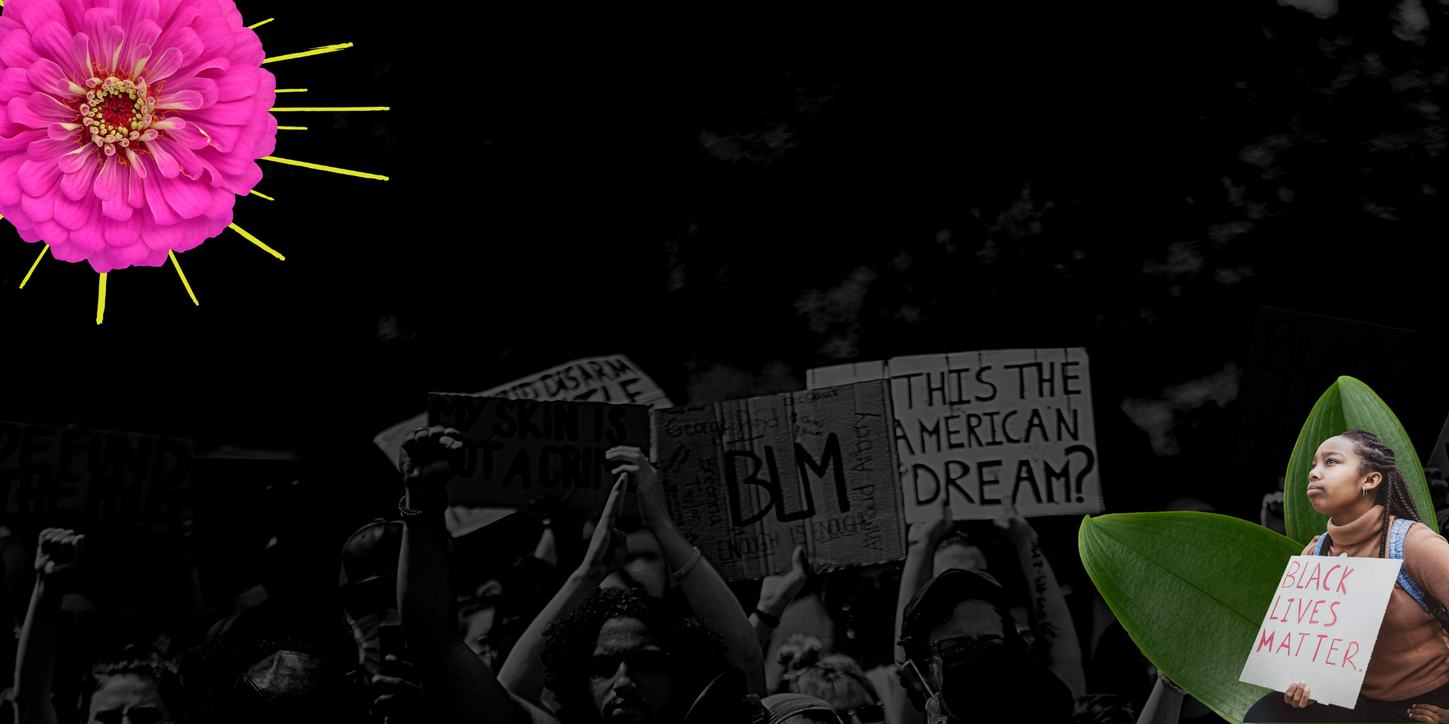 Copy of Website Images (11).png