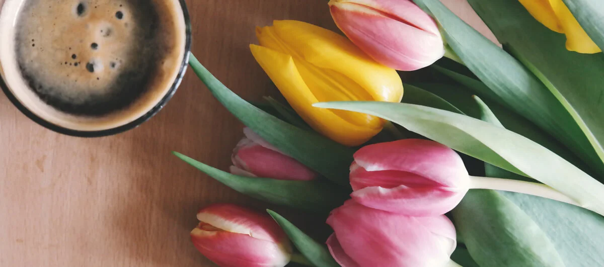 2018-05-03_header_news32.jpg