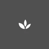 Logo-Leaf_white-on-grey.jpg