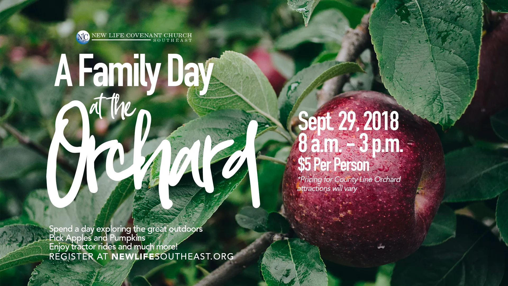 FinalOrchard Family Day Flyer (Web).jpg