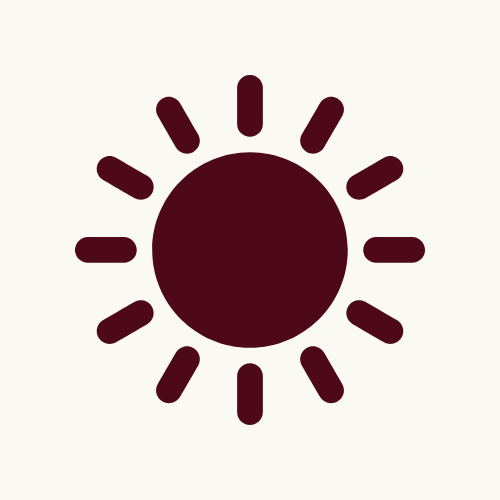Icon of a sun with a dark center and radiating lines on a light background.