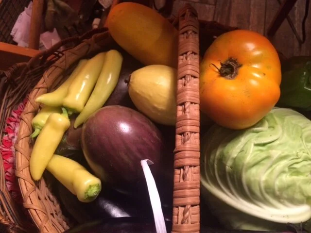 "A History of the Foods we Eat"
