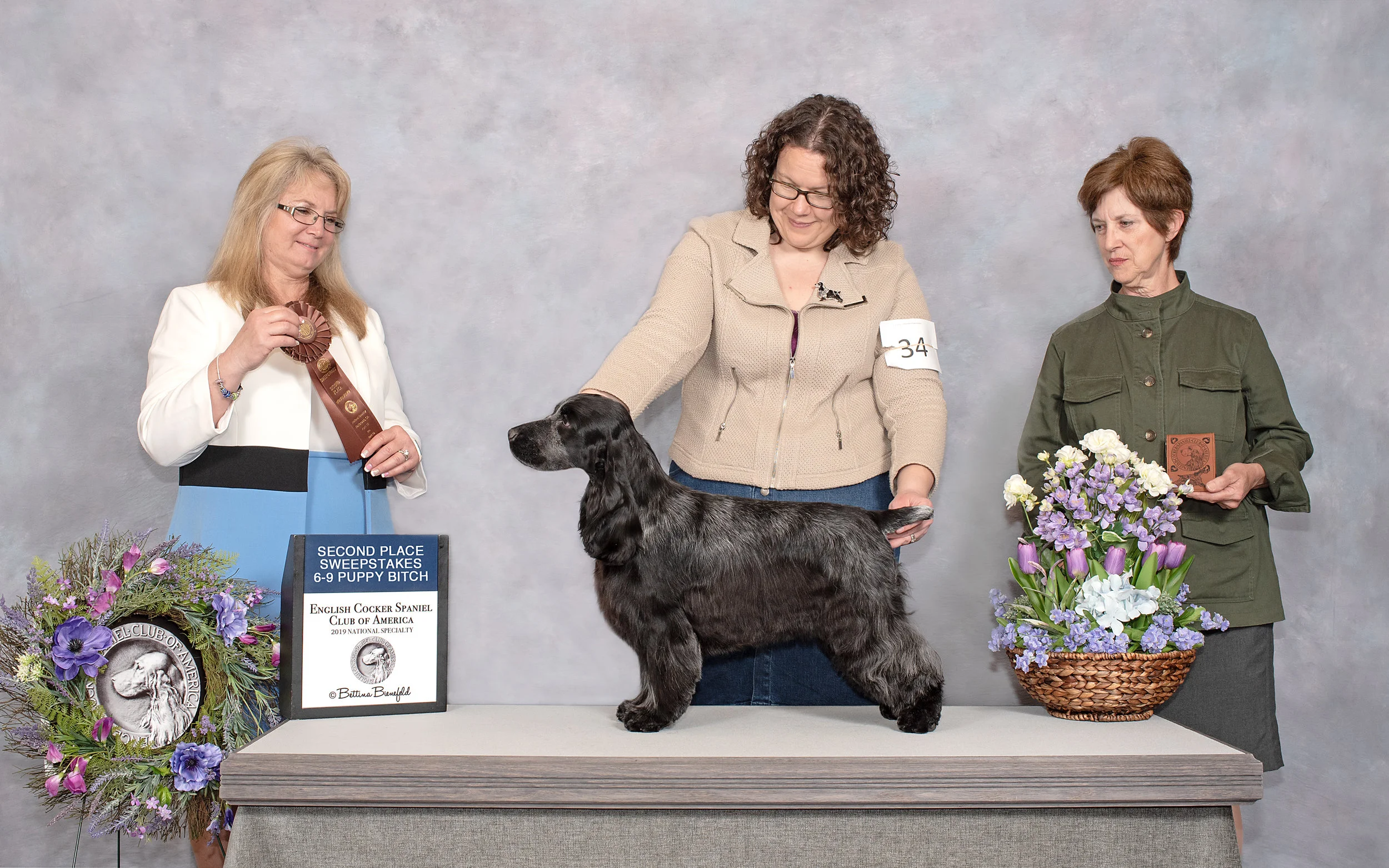 2nd place, 6-9 Puppy Sweepstakes