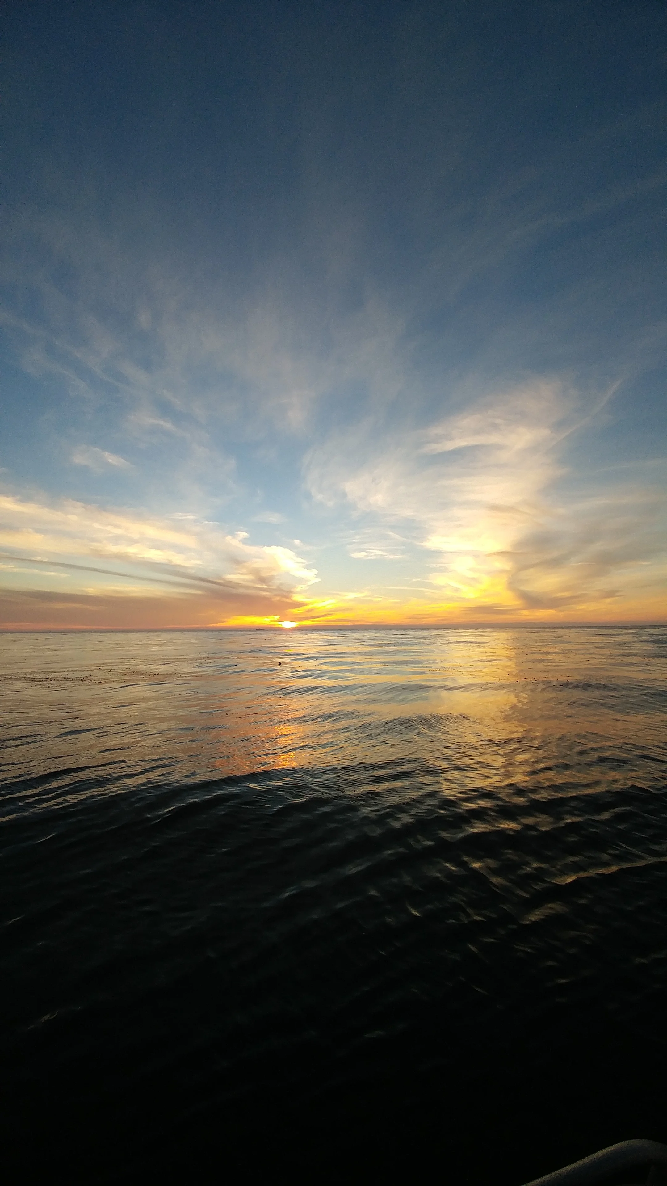 1212161641a_HDR.jpg