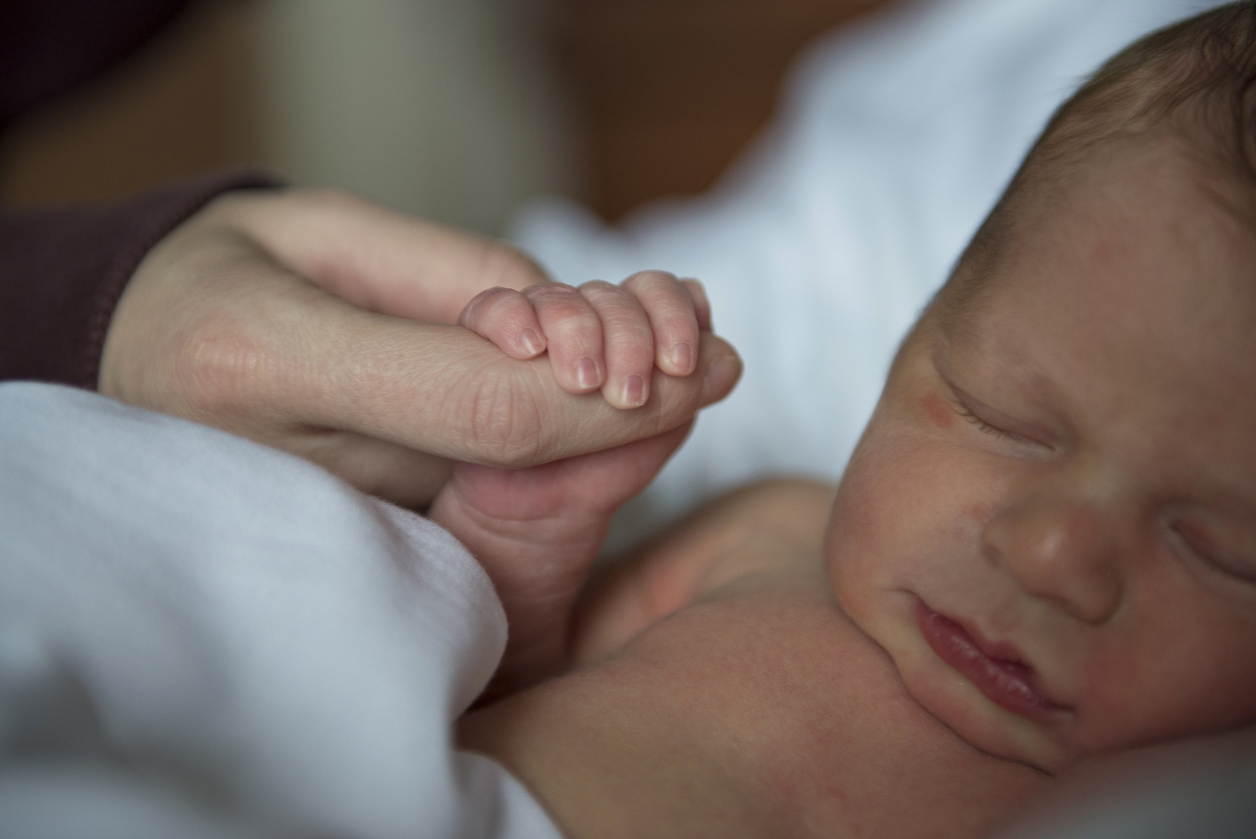 20141107_newborn-7_edited.jpg