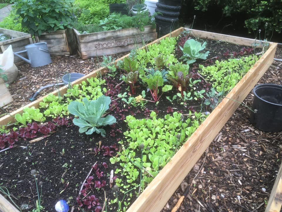 Community Garden 1.jpg