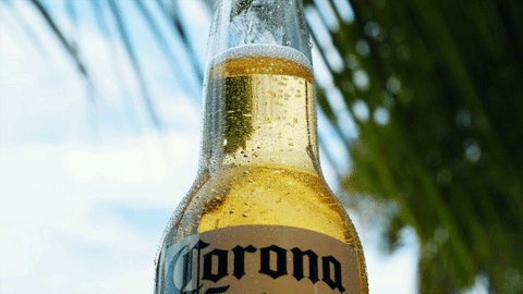 bottle2.gif