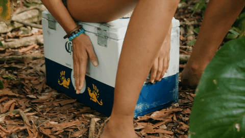 box.gif
