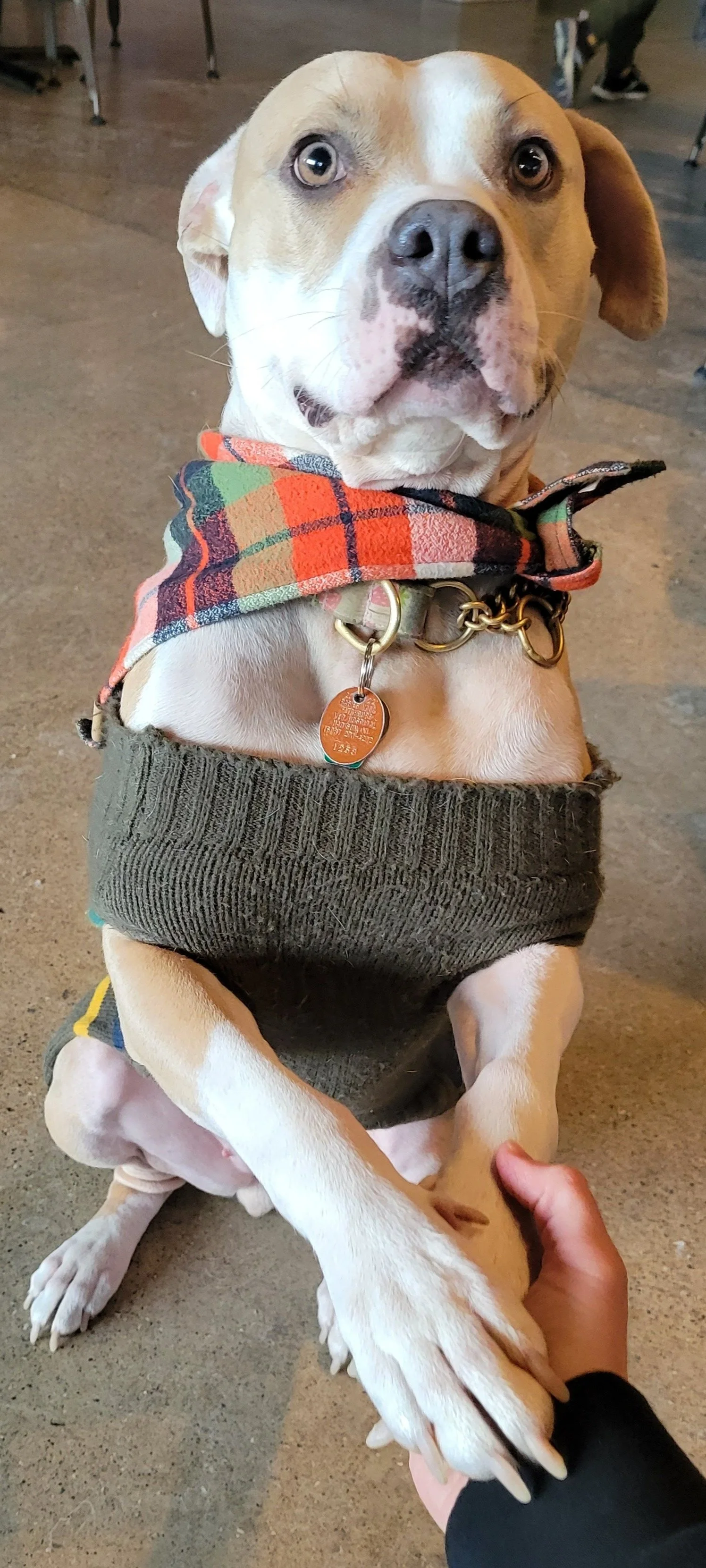 Events The Lab — Delta Beer Lab Madison, WI