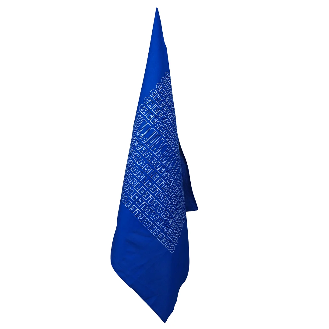 CHEECH Scarf 4.jpg