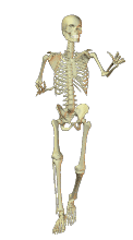skeleton-sn-walk-1-w.gif