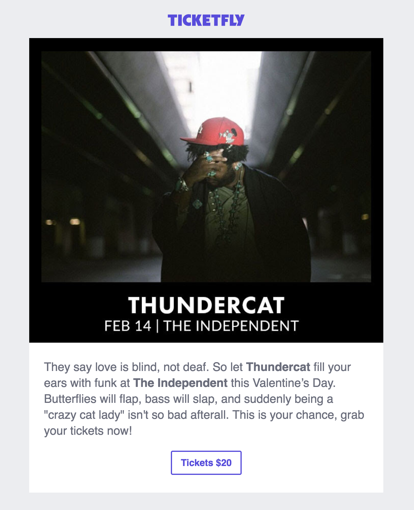 thundercat copy.png