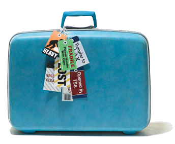 luggage 2.png