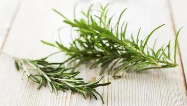 rosemary-16x9.jpg