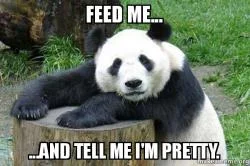 feed-me-and.jpg