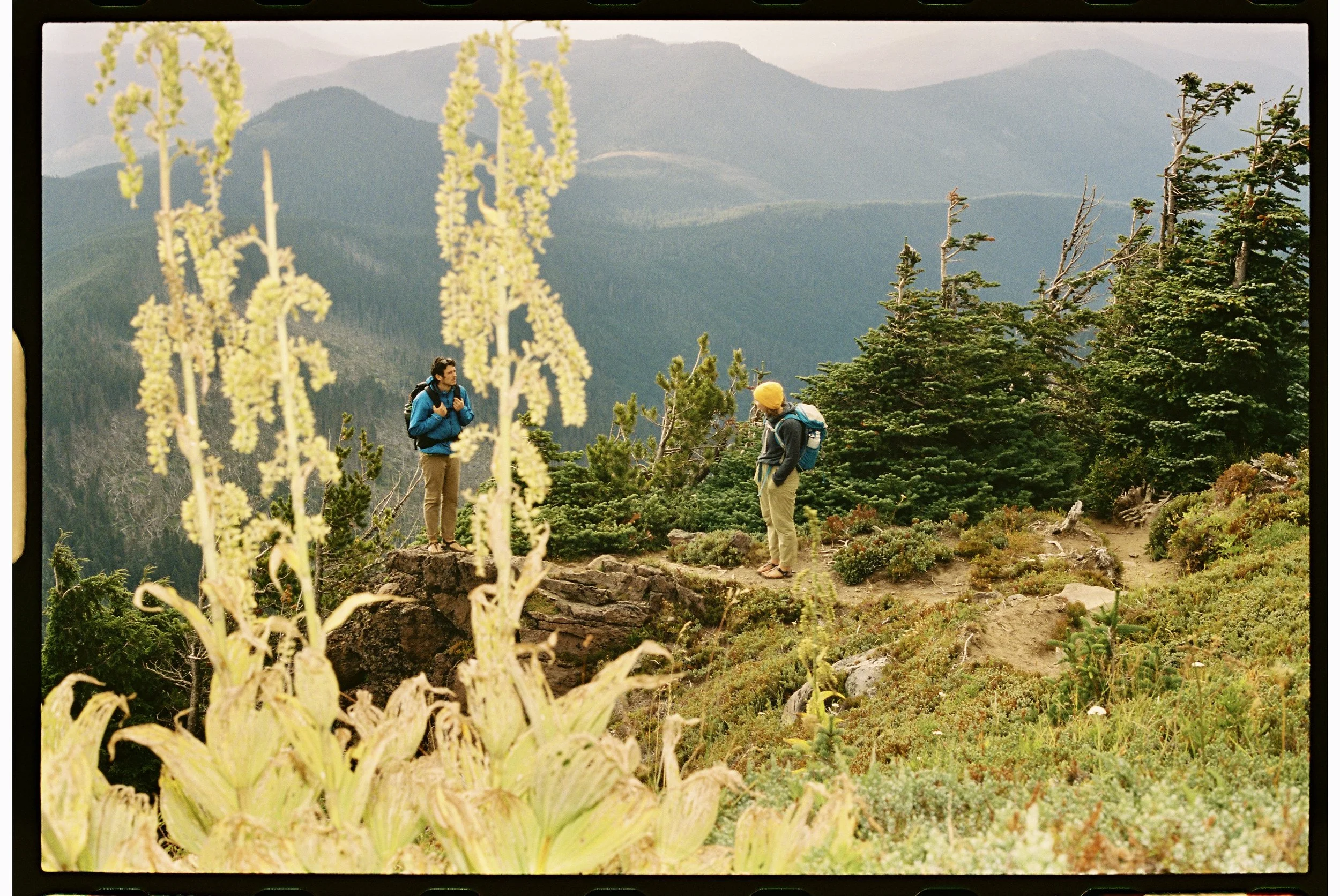 Photo Jan 29 2026, 12 28 49 PM (4).jpg