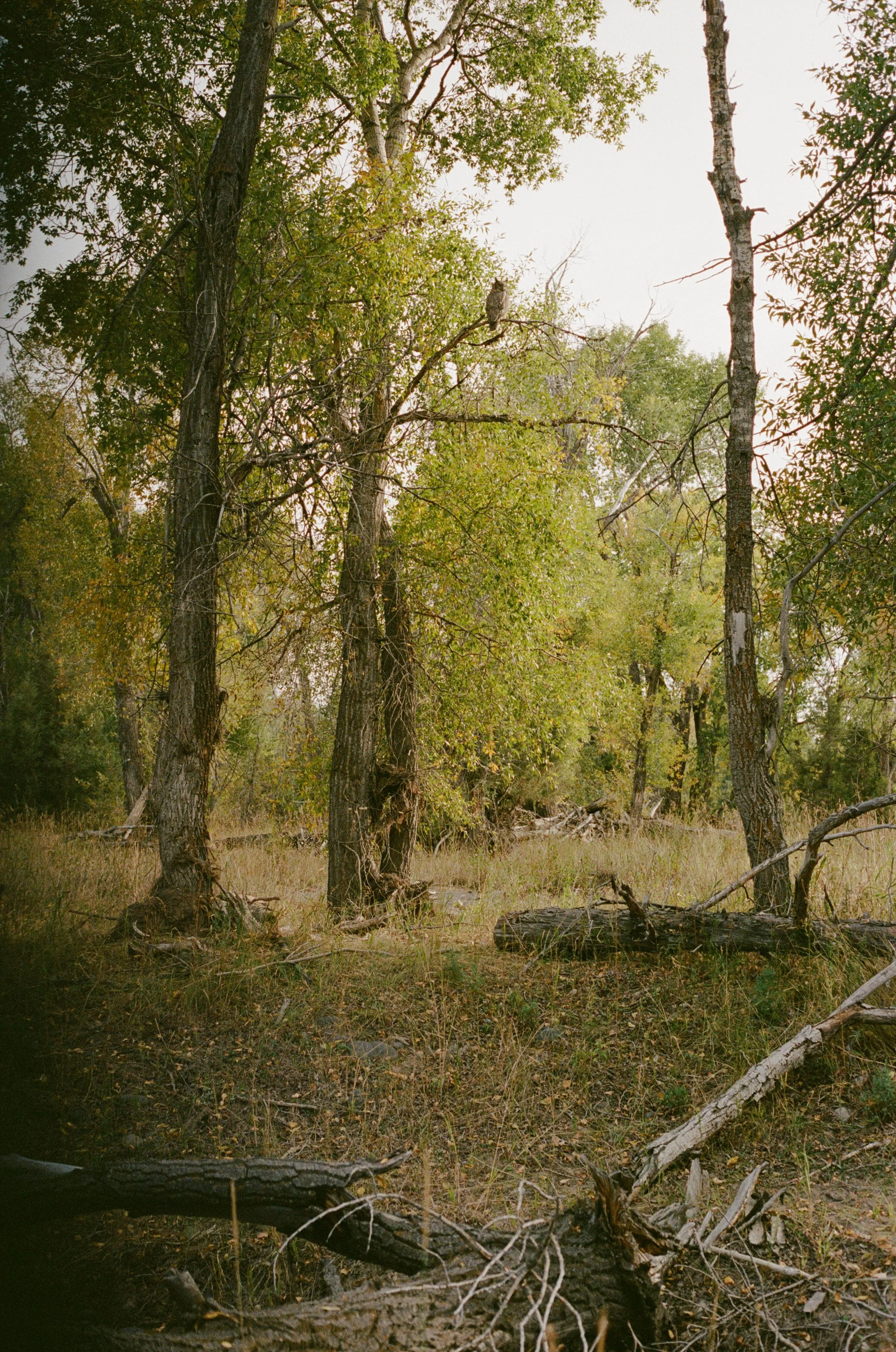 Photo Feb 03 2026, 3 57 58 PM (14).jpg