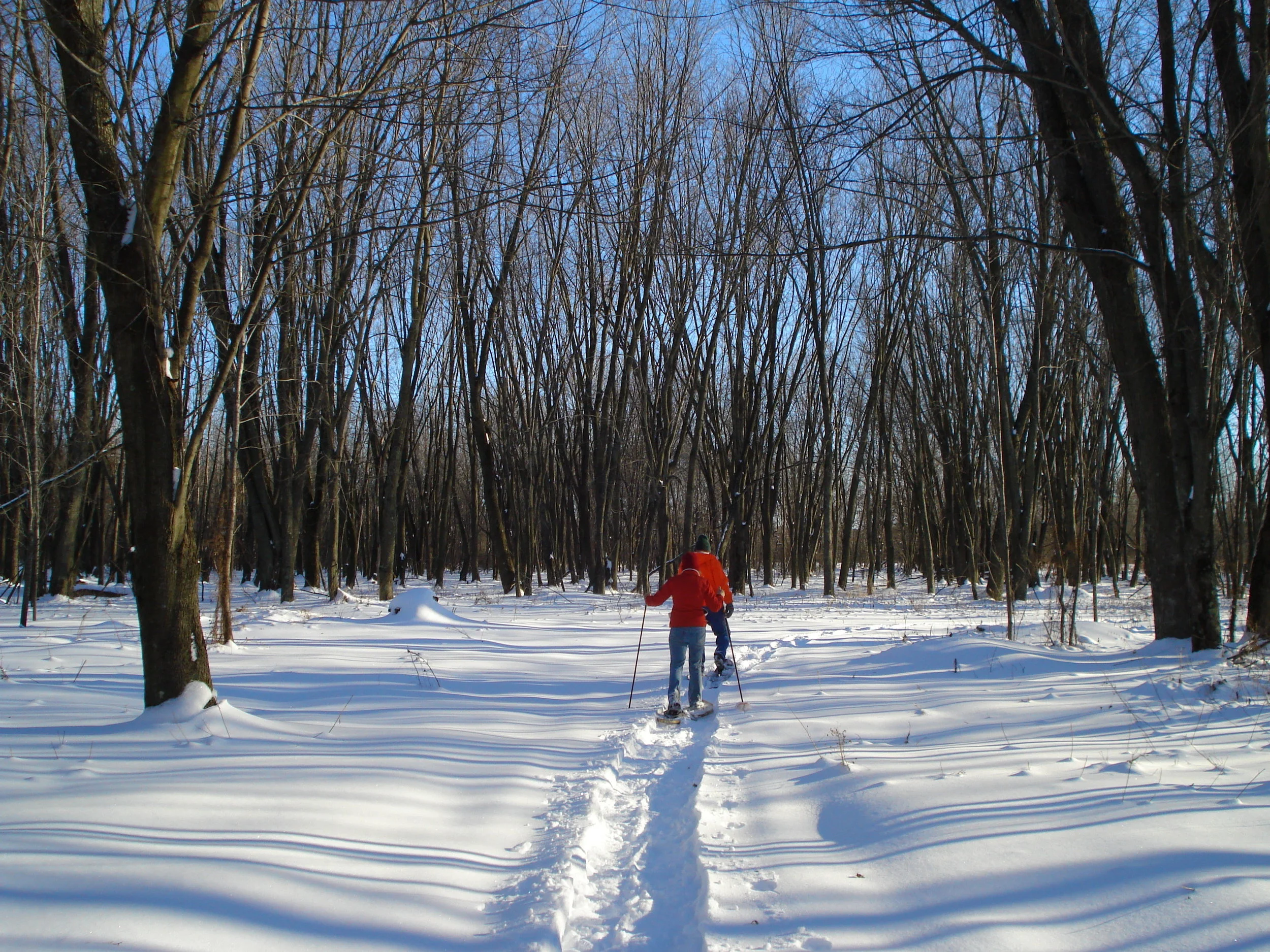 Dec. 27 - Winter Hike - Paul & Elizabeth.jpg