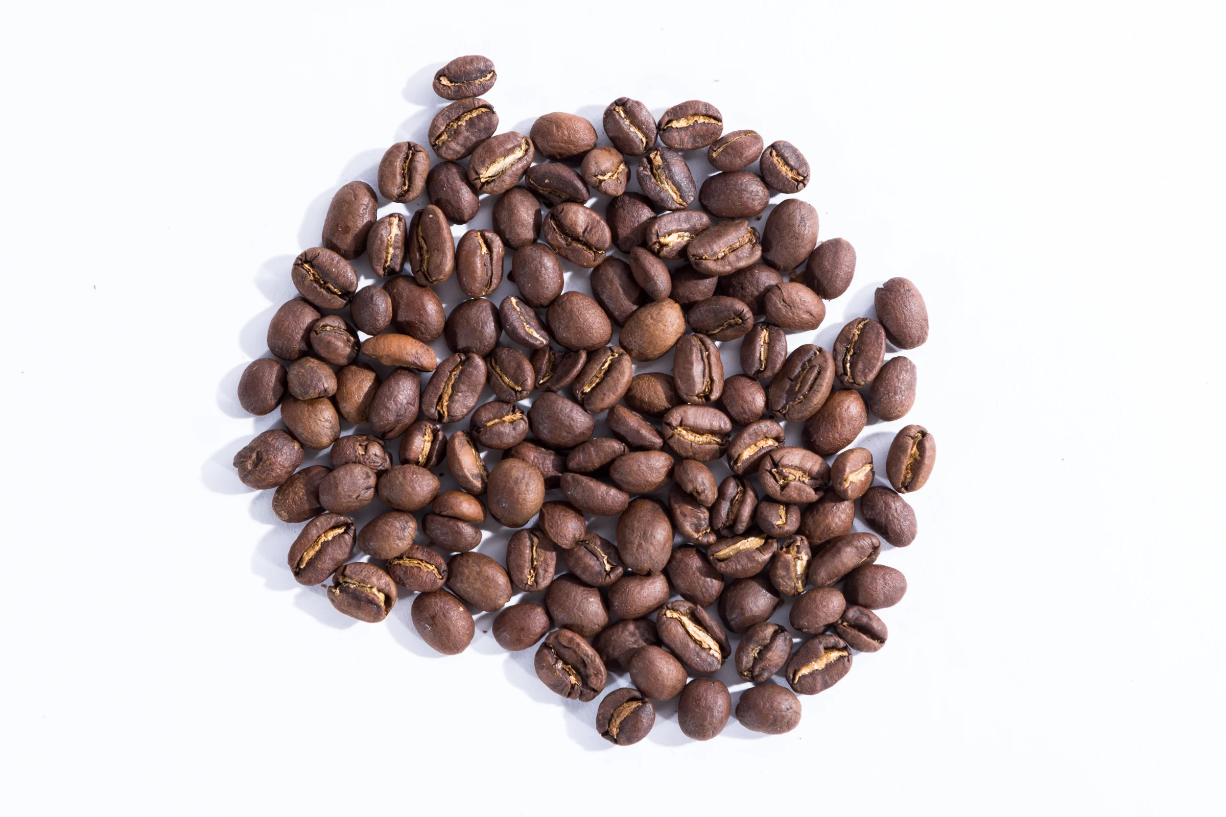 sumatra medium roast beans