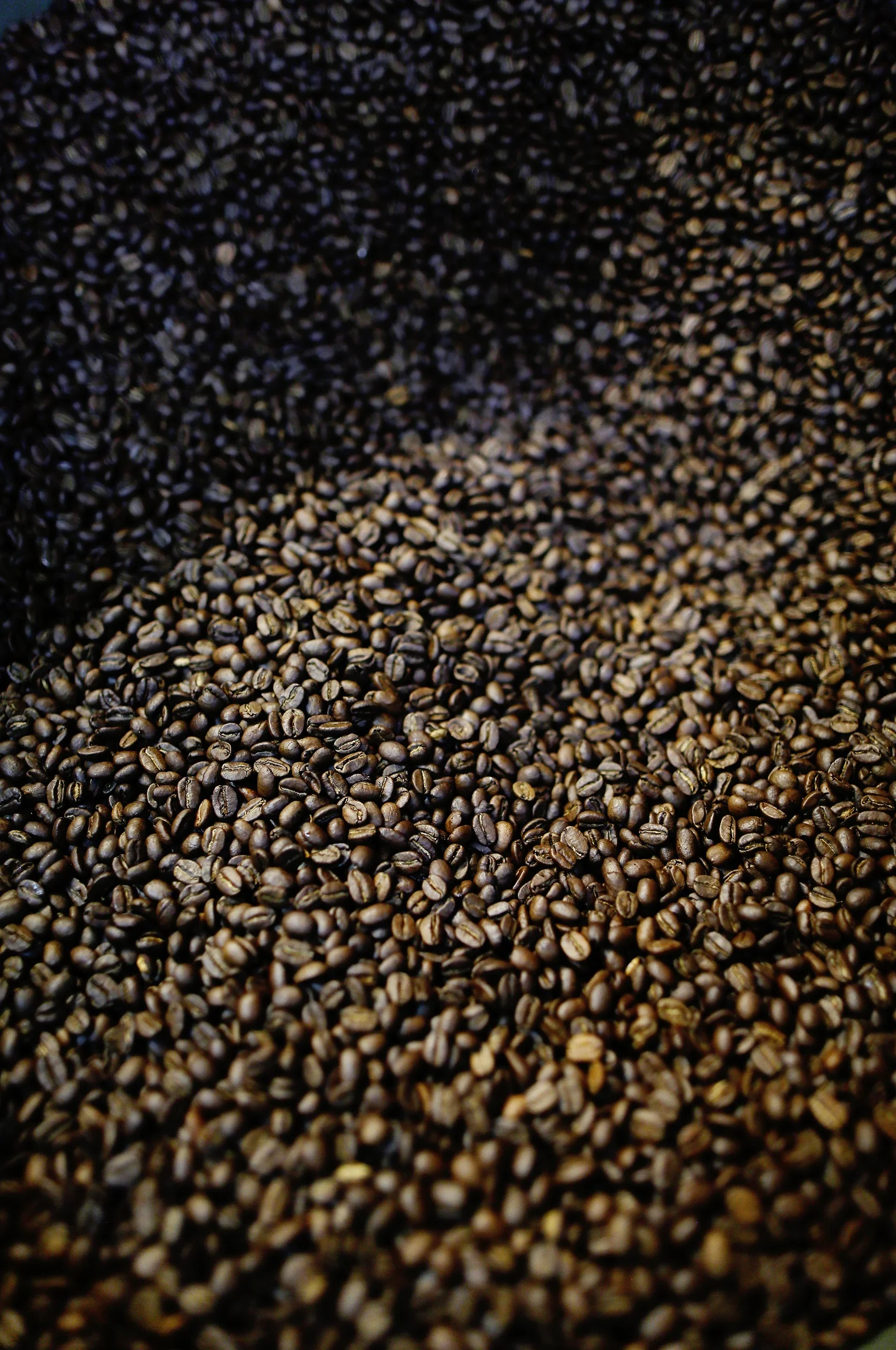 french roast coffee beans