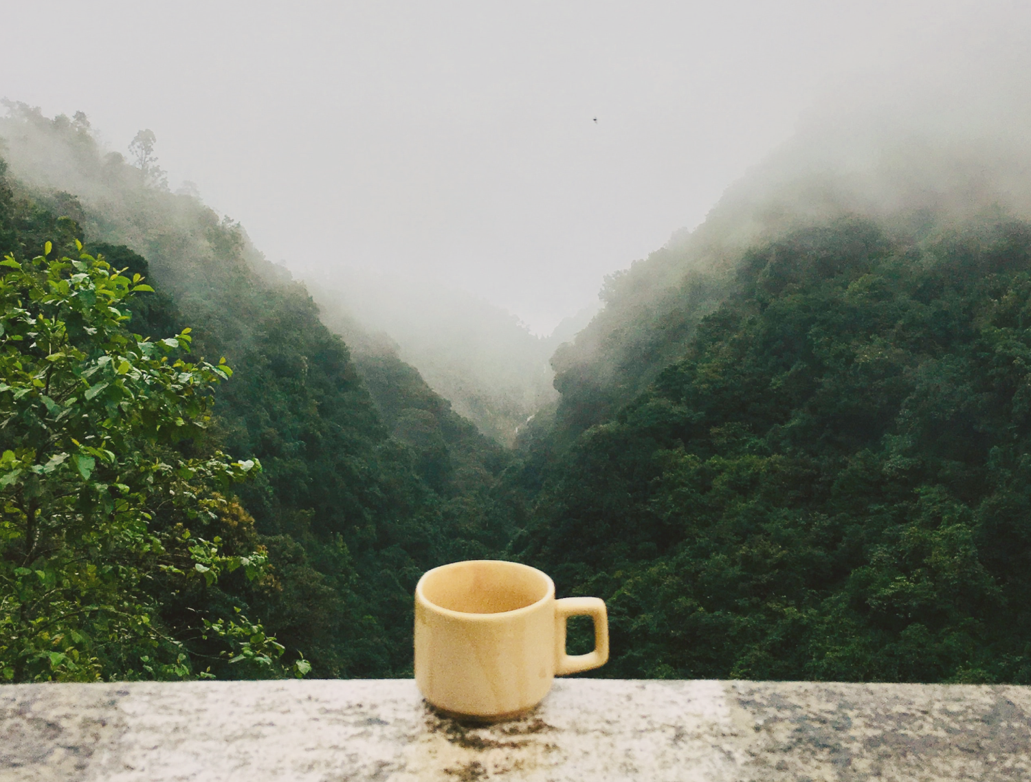 sumatra.png