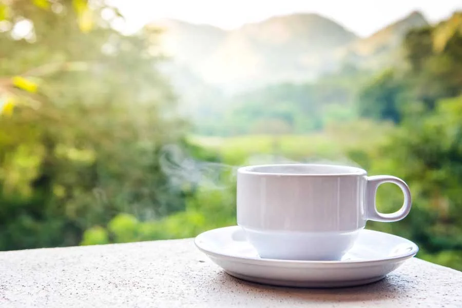 swiss water decaf peru