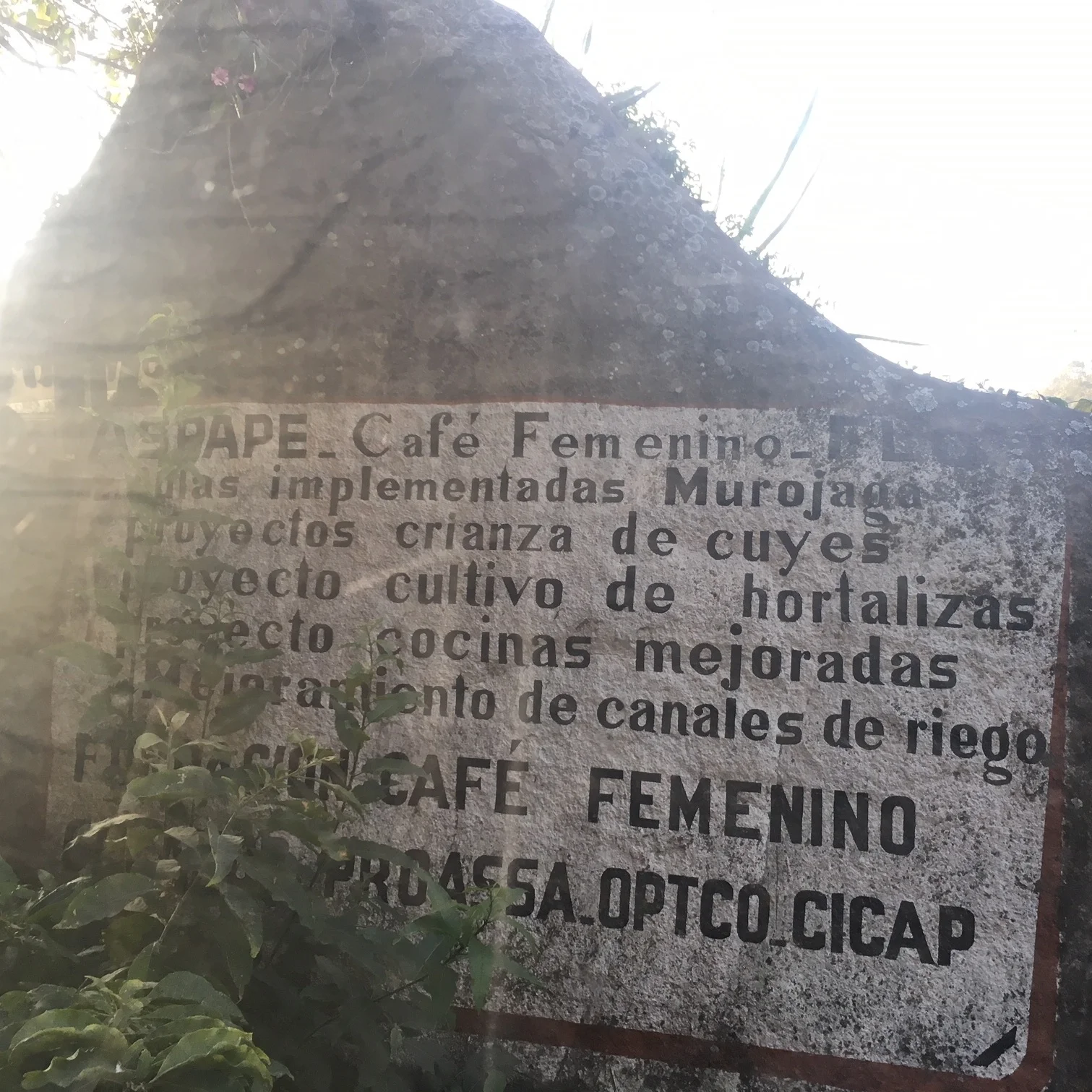 Cafe+Femenino+plaque.jpg