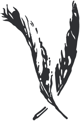 sparrow_feather_double.png